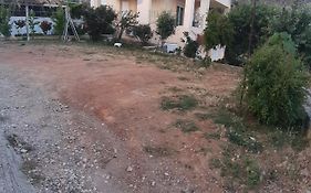 Niki'S House